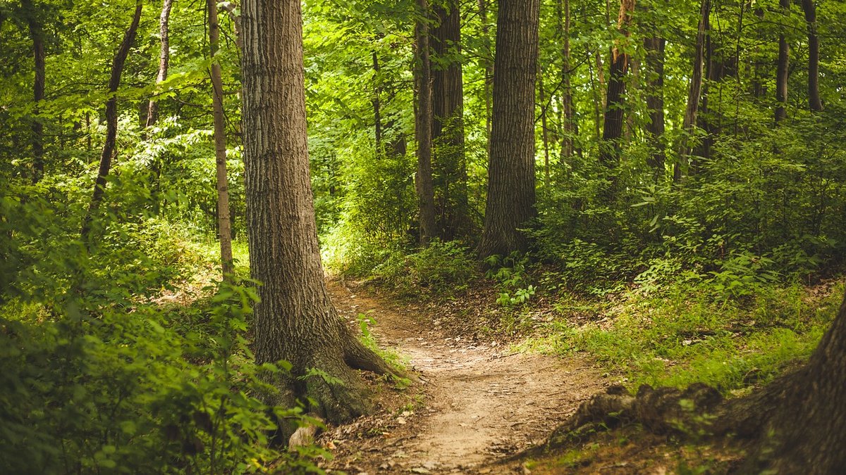 How to plan a safe coastal path walk